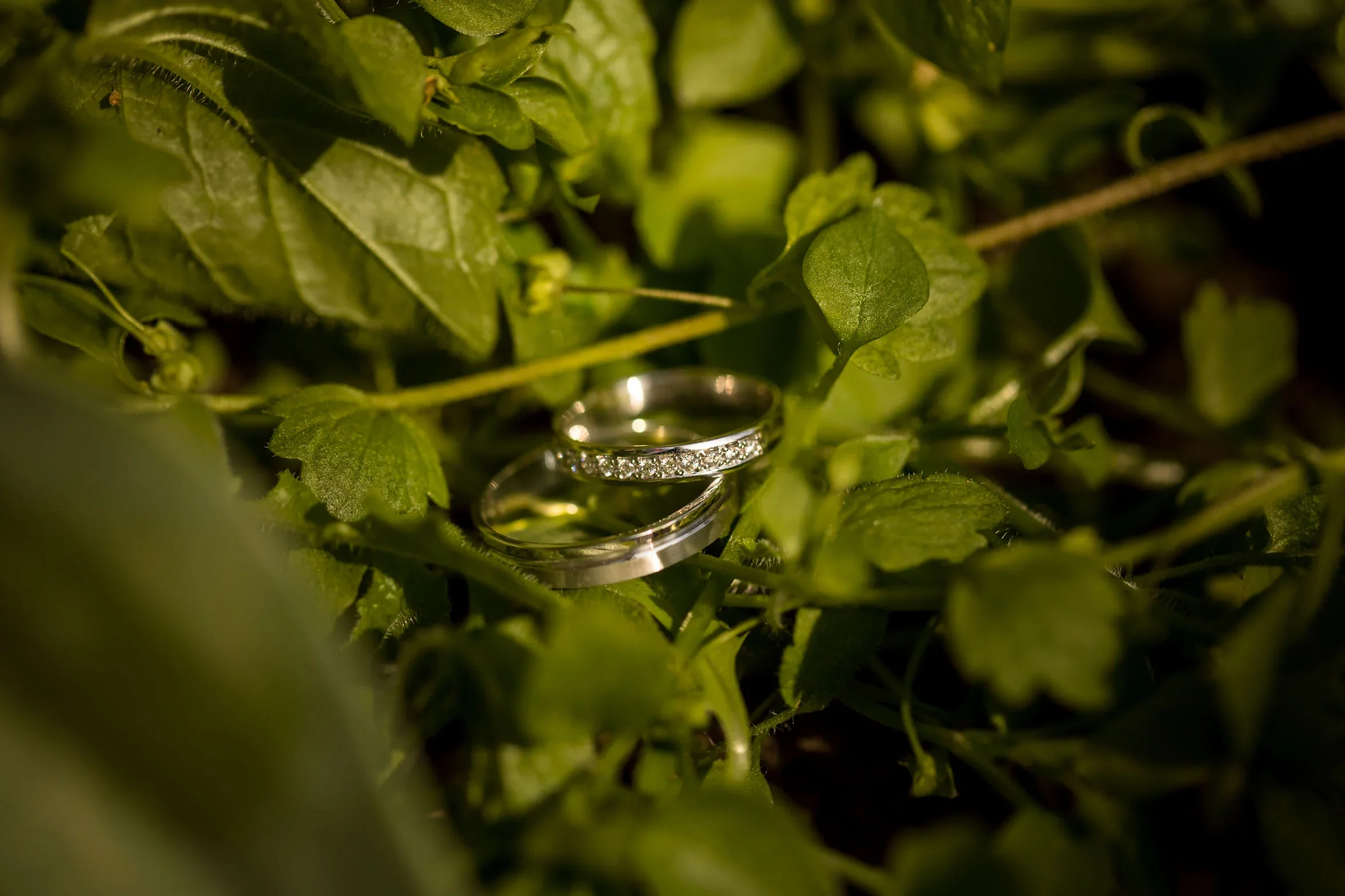 Photographie 32