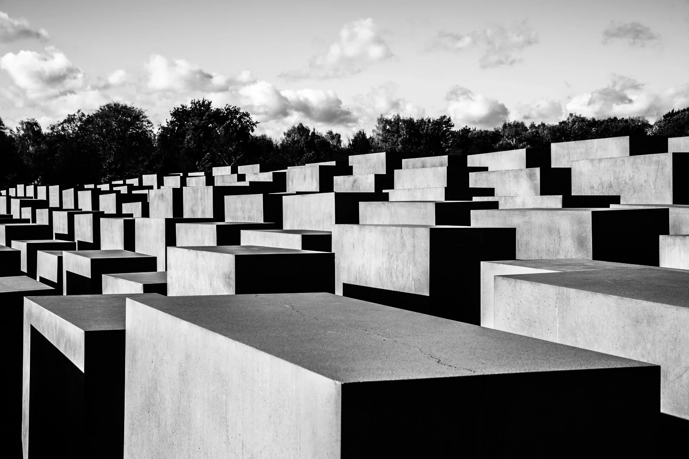 Photographie 37