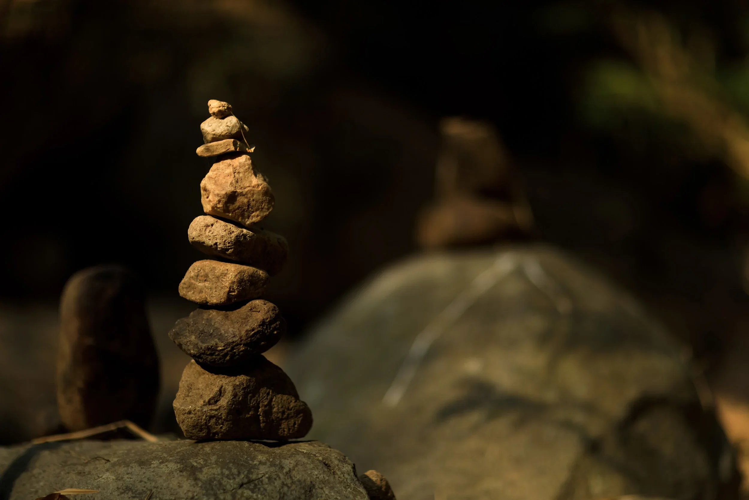 Photographie 11