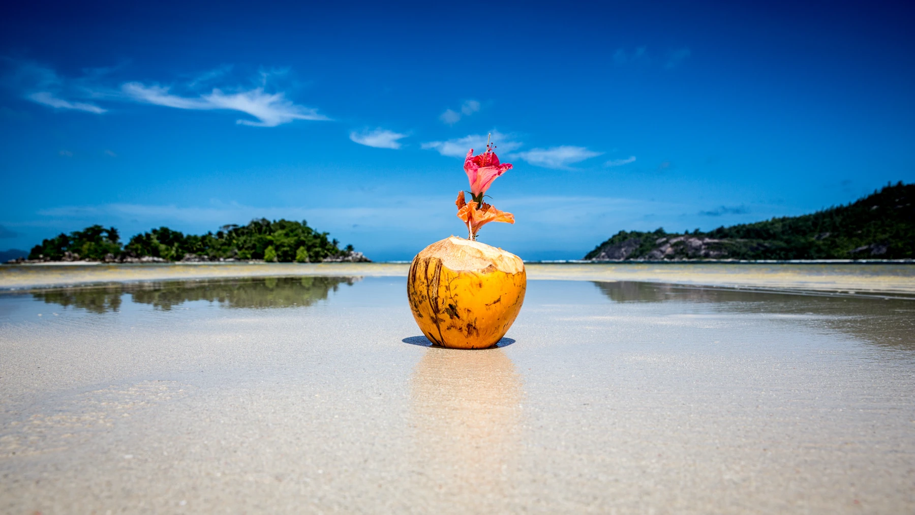 De Bruxelles aux Seychelles, découvrez d'autres horizons | Explorez et inspirez  — photo 9