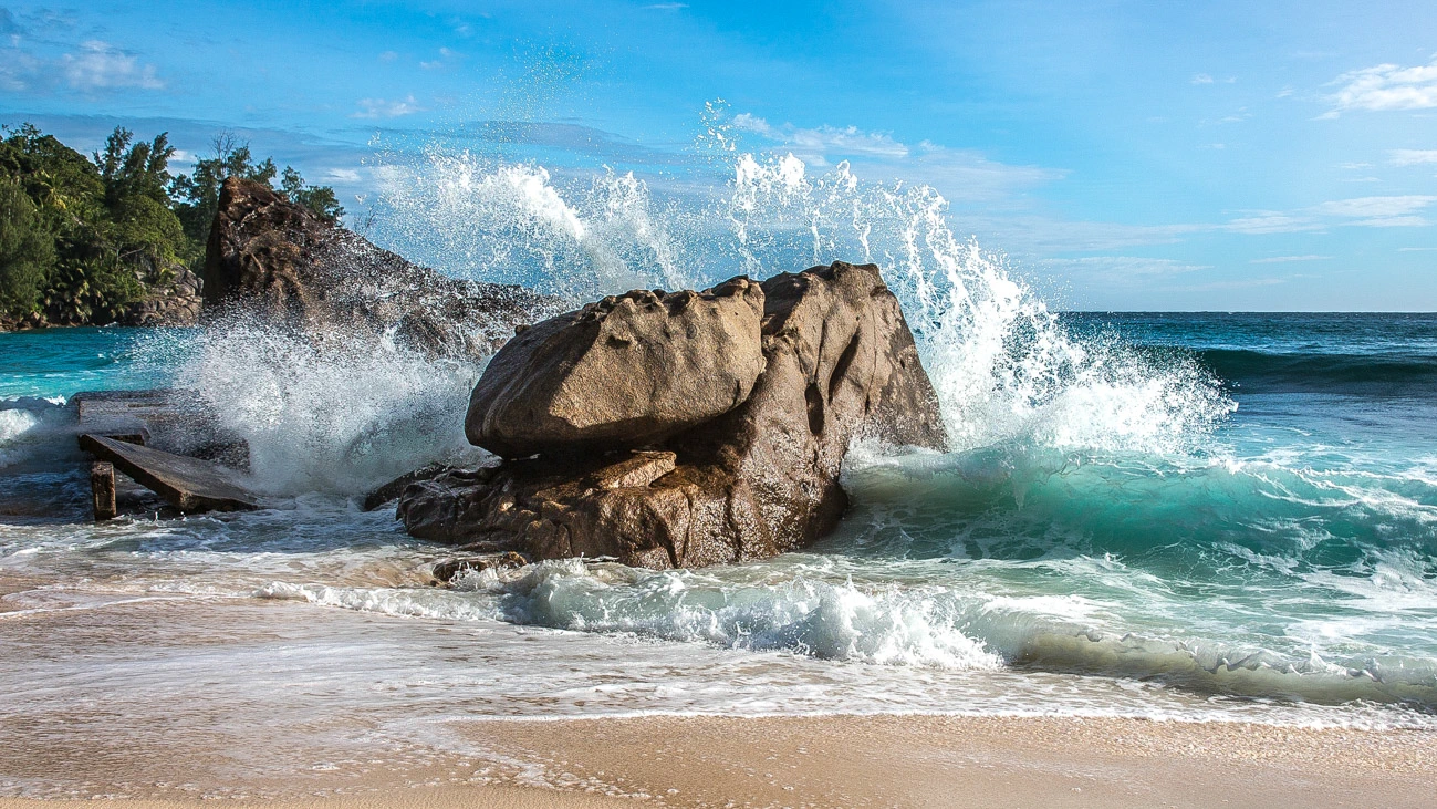 De Bruxelles aux Seychelles, découvrez d'autres horizons | Explorez et inspirez  — photo 48