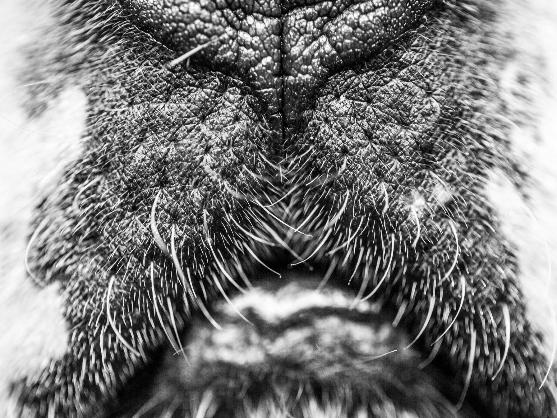 Divers - un peu de tout | Explorez et réservez votre séance photo — photo 17