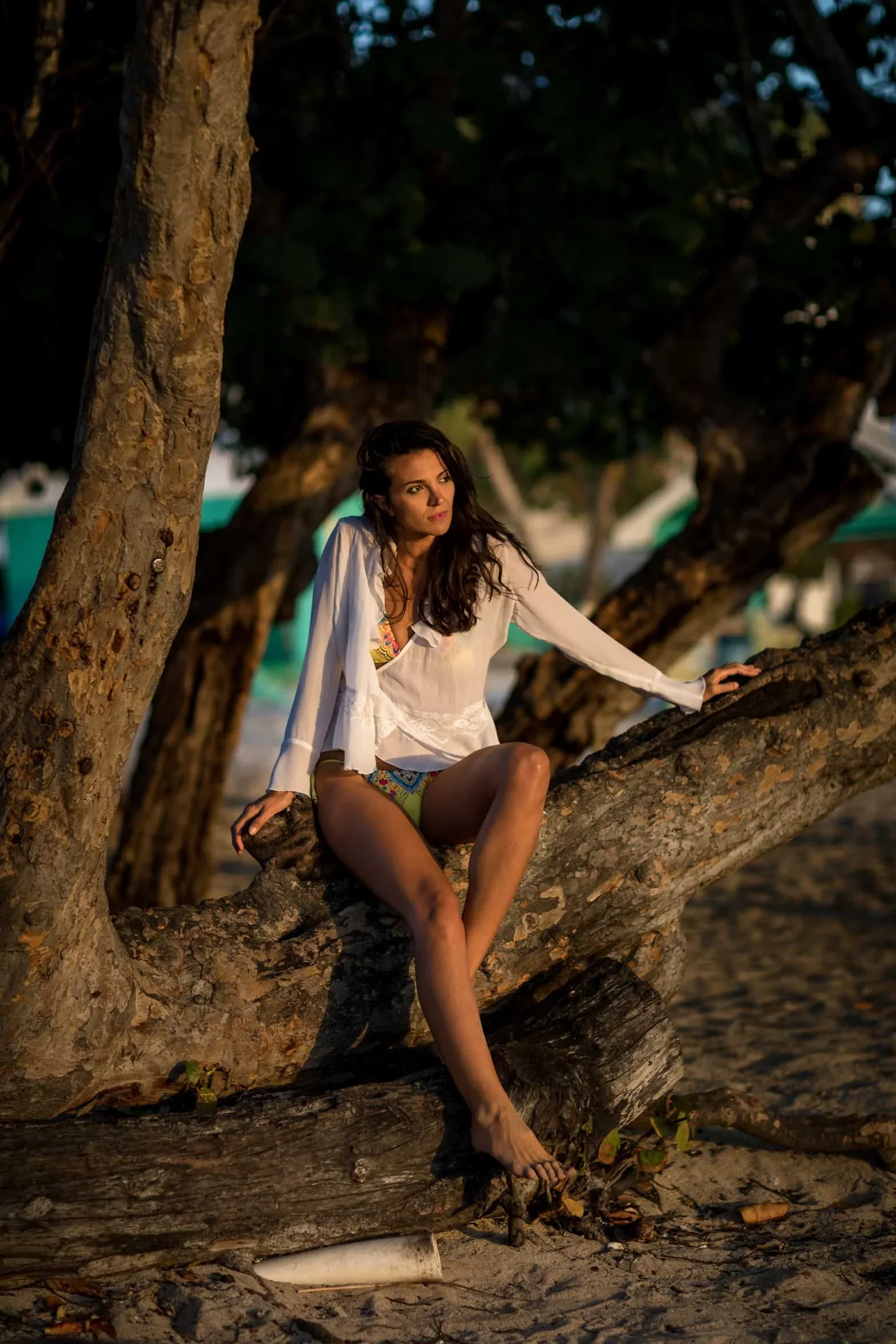 Photographie 50